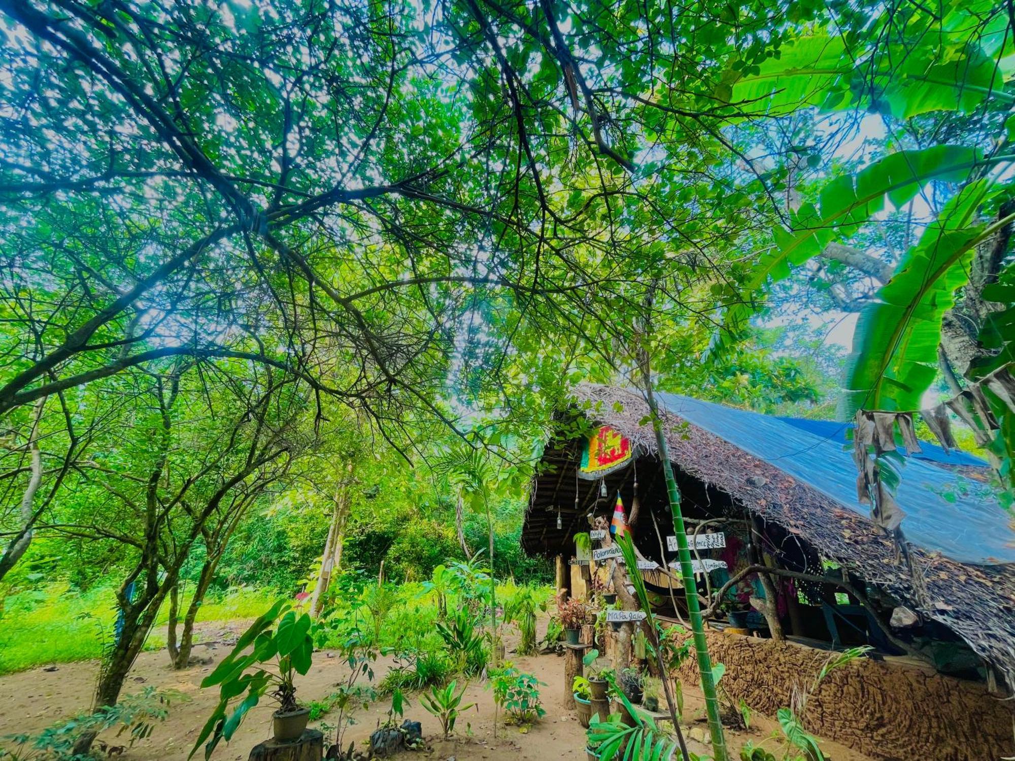 Sigiriya Rastha Hostel Exterior photo